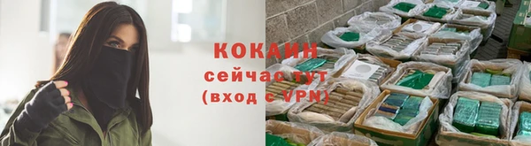 тгк Нефтекумск