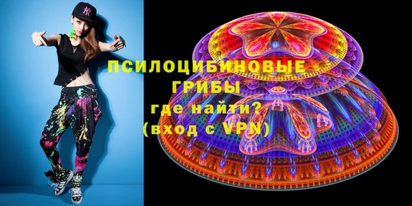 spice Новозыбков