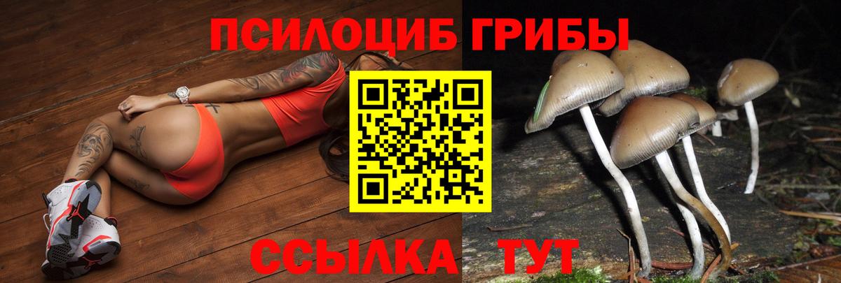 Псилоцибиновые грибы Magic Shrooms Усолье-Сибирское